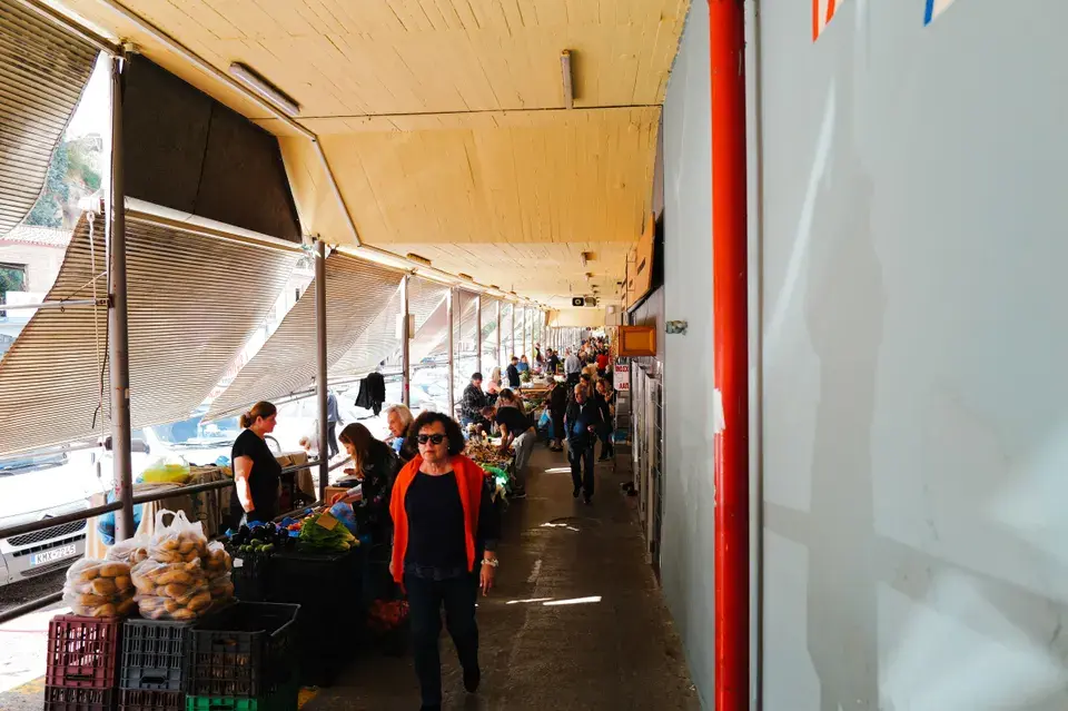 Serving the Mango Community with Local Expertise — Mango, FL